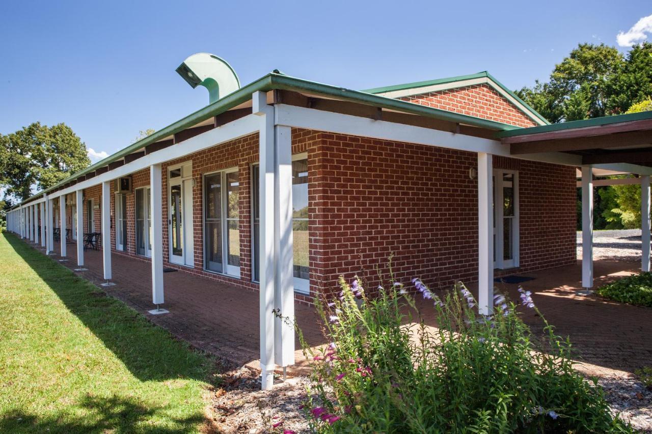 Lookout Mountain Retreat Motel Dorrigo Eksteriør billede