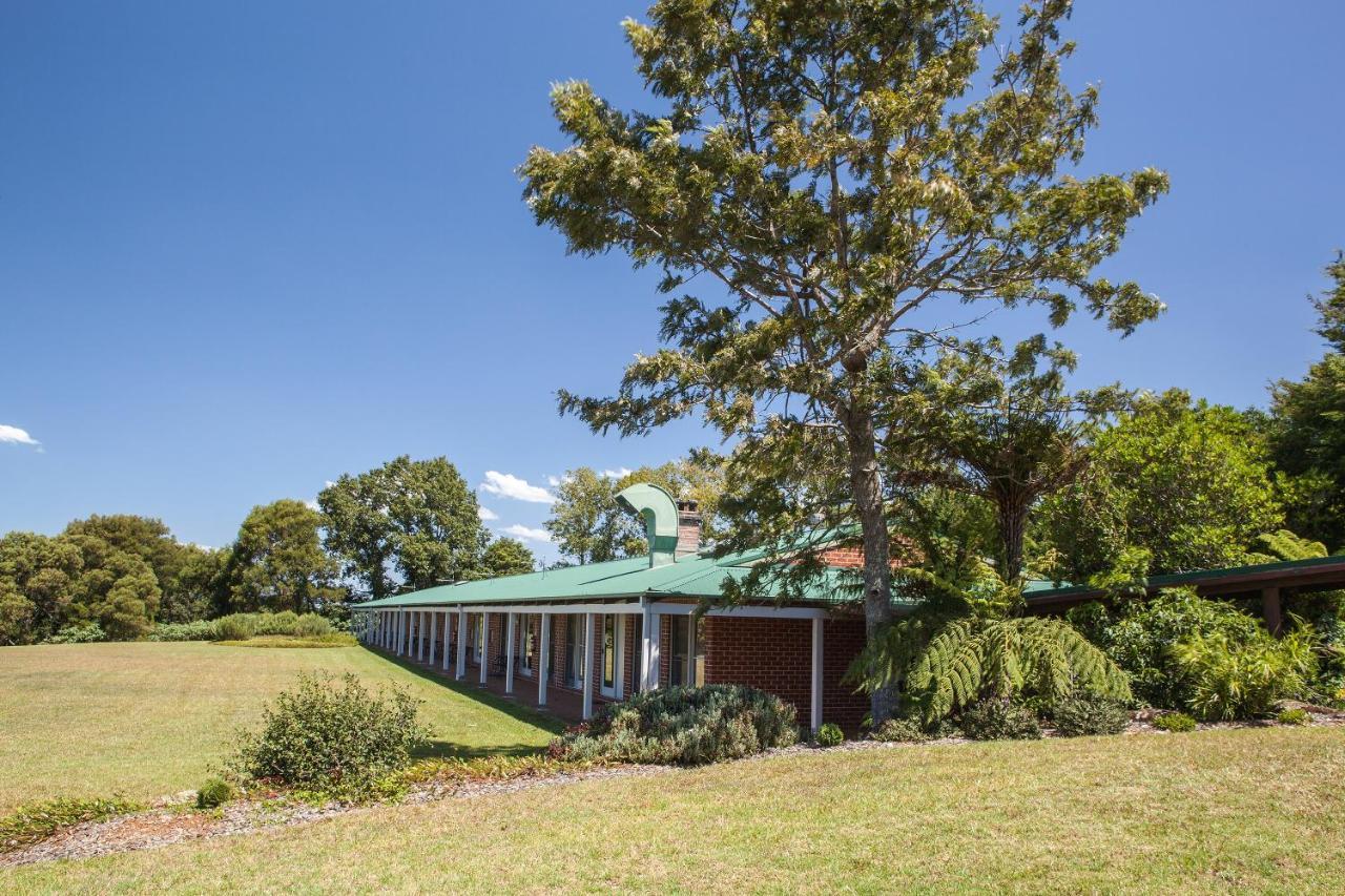Lookout Mountain Retreat Motel Dorrigo Eksteriør billede